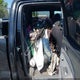 3TMKU72N29M021277 2009 Toyota Tacoma Prerunner V6 auction photo thumbnail 8