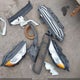 MAJ3P1TE2JC239531 2018 Ford Ecosport Se auction photo thumbnail 18