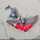 5TDACAB57SS041364 2025 Toyota Grand Highlander Hybrid Limited auction photo thumbnail 20