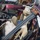 JTHBJ46G872151764 2007 Lexus Es 350 auction photo thumbnail 8