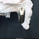 W1NKM4GB7TF548910 2026 Mercedes-Benz Glc 300 auction photo thumbnail 11
