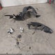 1FMCU0HD8JUD47929 2018 Ford Escape Sel auction photo thumbnail 12