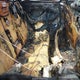 2T3ZF4DVXAW041669 2010 Toyota Rav4 auction photo thumbnail 8