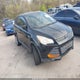 1FMCU0F74DUC69974 2013 Ford Escape S auction photo thumbnail 1