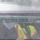 2HGES16623H563411 2003 Honda Civic Lx auction photo thumbnail 12