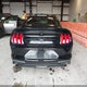 1FA6P8THXK5201227 2019 Ford Mustang Ecoboost auction photo thumbnail 16