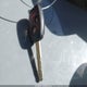 JHMZE2H7XAS028530 2010 Honda Insight Ex auction photo thumbnail 11