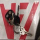 2GCEK13T441398562 2004 Chevrolet Silverado 1500 Z71 auction photo thumbnail 11