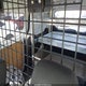 NM0LE7F70F1190104 2015 Ford Transit Connect Xlt auction photo thumbnail 8