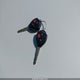 JTDKTUD32ED575910 2014 Toyota Yaris Le (Tmc/Cbu Plant) auction photo thumbnail 11
