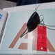 1C4NJCBA7CD647616 2012 Jeep Compass Sport auction photo thumbnail 11