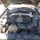 1FA6P8CF7K5134939 2019 Ford Mustang Gt Premium auction photo thumbnail 10