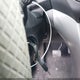 1FMCU0GX6DUC99346 2013 Ford Escape Se auction photo thumbnail 11