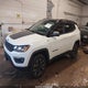 3C4NJDDB8MT572349 2021 Jeep Compass Trailhawk 4X4 auction photo thumbnail 2