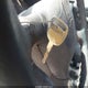 2GCEC19W711364433 2001 Chevrolet Silverado 1500 auction photo thumbnail 11