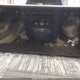1C6RR7VT9JS172582 2018 Ram 1500 Laramie 4X4 6'4 Box auction photo thumbnail 12