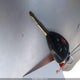 1NXBU40E19Z027418 2009 Toyota Corolla S auction photo thumbnail 11