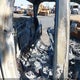 1GCRWCED2MZ164337 2021 Chevrolet Silverado 1500 2Wd Standard Bed Lt auction photo thumbnail 8