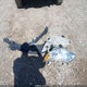 4T1BF1FK5EU468422 2014 Toyota Camry Le auction photo thumbnail 12