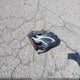WDDZF4JB2KA620946 2019 Mercedes-Benz E 300 auction photo thumbnail 11