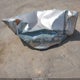 2GCEC13TX51265268 2005 Chevrolet Silverado 1500 Ls auction photo thumbnail 13