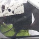 SADFJ2FXXK1Z42775 2019 Jaguar E-Pace S auction photo thumbnail 9