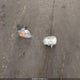 4T1SK11E6SU558493 1995 Toyota Camry Dx auction photo thumbnail 12