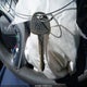 5NPDH4AE7FH602983 2015 Hyundai Elantra Se auction photo thumbnail 11