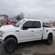 1FTFW1EF5FKE22189 2015 Ford F-150 Xlt auction photo thumbnail 14