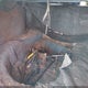 1G1LD55M9TY161083 1996 Chevrolet Corsica auction photo thumbnail 11