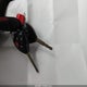 1NXBU4EE3AZ308309 2010 Toyota Corolla Le auction photo thumbnail 11