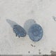 7SAYGDEF2NF505441 2022 Tesla Model Y Performance Dual Motor All-Wheel Drive auction photo thumbnail 12