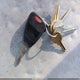 1C4AJWBG3GL118356 2016 Jeep Wrangler Sahara auction photo thumbnail 11