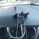 JTEBU14RX8K022417 2008 Toyota 4Runner Sr5 V6 auction photo thumbnail 11