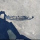 2GNAXMEV1N6137496 2022 Chevrolet Equinox Fwd Rs auction photo thumbnail 12
