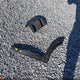KM8J33A4XGU195926 2016 Hyundai Tucson Se auction photo thumbnail 12