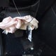 2HGFE2F28TH524577 2026 Honda Civic Lx auction photo thumbnail 11