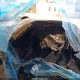4T1KZ1AK4MU048745 2021 Toyota Camry Xse V6 auction photo thumbnail 7