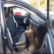 5YFBURHE5GP512497 2016 Toyota Corolla Le Premium auction photo thumbnail 5