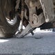 1GCPTDE10J1169557 2018 Chevrolet Colorado Z71 auction photo thumbnail 19