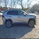 2T3P1RFV7KW081693 2019 Toyota Rav4 Xle auction photo thumbnail 14