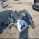 2T3P1RFV7KW081693 2019 Toyota Rav4 Xle auction photo thumbnail 12