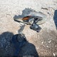 KM8JU3AG9EU804864 2014 Hyundai Tucson Limited auction photo thumbnail 12