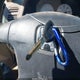 1HGES16512L036677 2002 Honda Civic Lx auction photo thumbnail 11