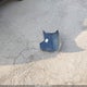 3N1AB7AP2KY243193 2019 Nissan Sentra Sv auction photo thumbnail 12