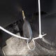 5J6RE4H7XAL077275 2010 Honda Cr-V Ex-L auction photo thumbnail 11