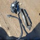 1FMUK8KH0SGA47046 2025 Ford Explorer St-Line auction photo thumbnail 12