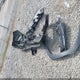 5NMJB3DE3RH346630 2024 Hyundai Tucson Sel auction photo thumbnail 12