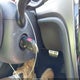 1VWAS7A35GC060846 2016 Volkswagen Passat 1.8T R-Line auction photo thumbnail 11