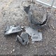 2HKRS4H48TH425666 2026 Honda Cr-V Ex Awd auction photo thumbnail 12